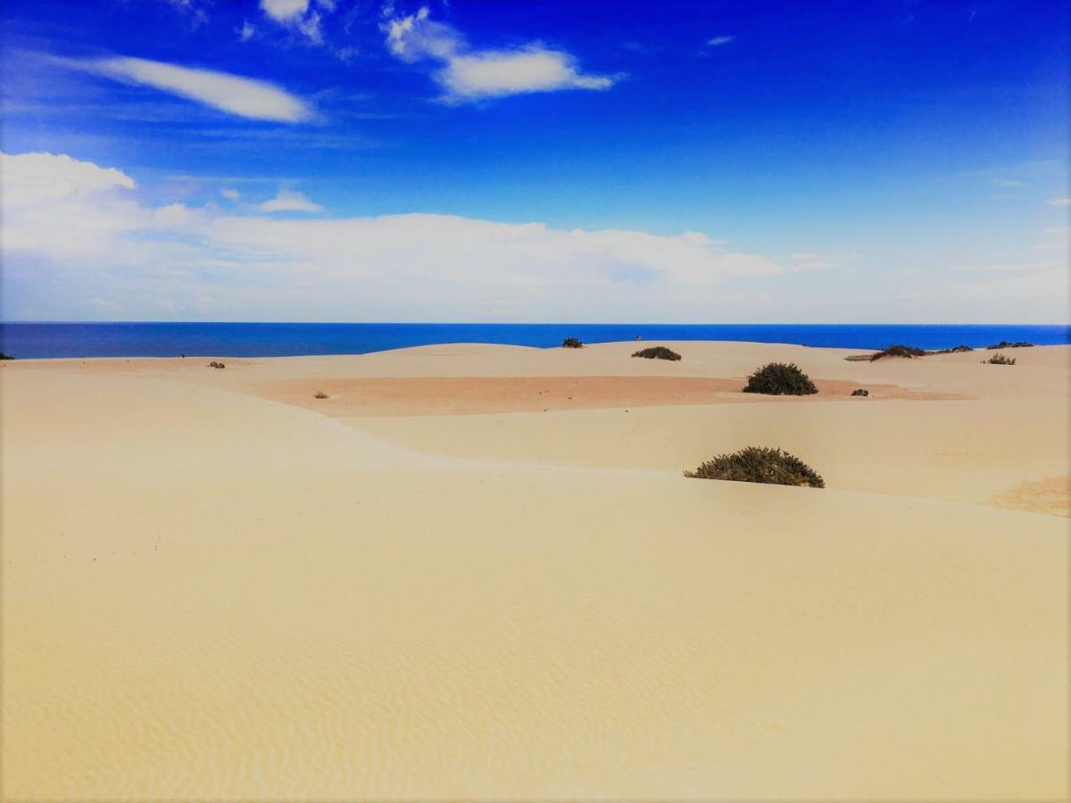 Corralejo Sun 202 Lejlighed Eksteriør billede